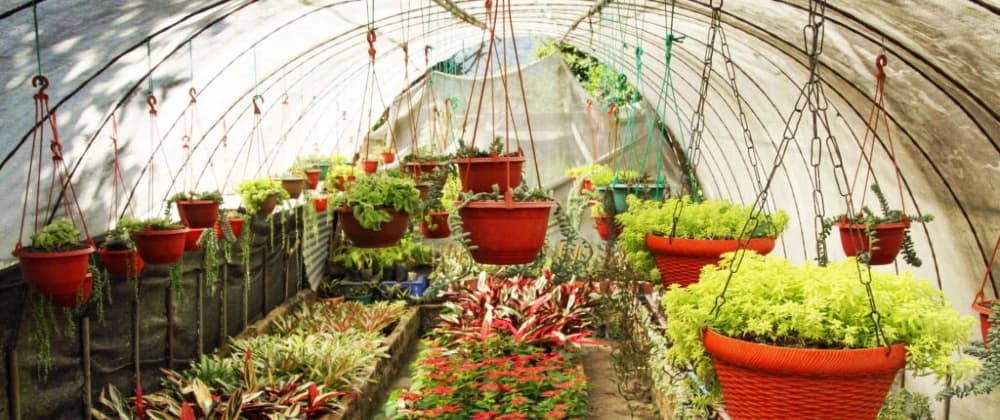 Kalimpong Flower Nurseries
