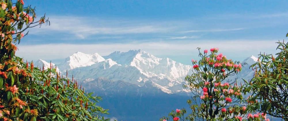 Barsey Rhododendron Sanctuary